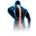 Fascia Lombare tutore in NEOPRENE con stecche di rinforzo semi rigide. Sostegno a corsetto Taglia unica regolabile con velcro