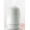 Diffusore di aromi umidificatore aromaterapia purifica aria e colorata lampada di design 100ml - Diffusore lampada relax design