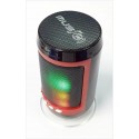 CASSA PORTATILE CON RADIO FM SD USB BLUETOOTH MP3 SMARTPHONE SPEAKER LED WS1806