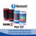 CASSA PORTATILE CON RADIO FM SD USB BLUETOOTH MP3 SMARTPHONE SPEAKER LED WS1806