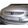 Racing Grill alluminium Griglia sportiva tuning alluminio 100 x 33 auto moto calandra paraurti anteriore -