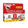 Trappola adesiva per scarafaggi insetti striscianti Insetticida 2 p...