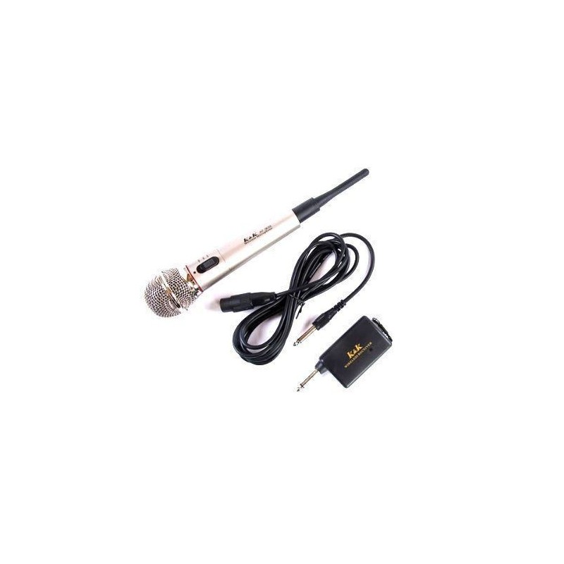 Karaoke Amplificatore Microfono Wireless o Cavo Registratore Canto jack 4.5