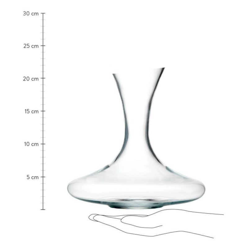 WeHome Decanter per vino in vetro 1L 1 litro areatore caraffa enote...
