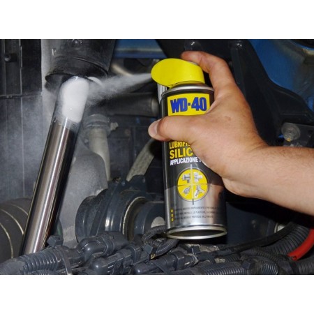 WD 40 Specialist lubrificante silicone spray due posizioni resistente all'acqua