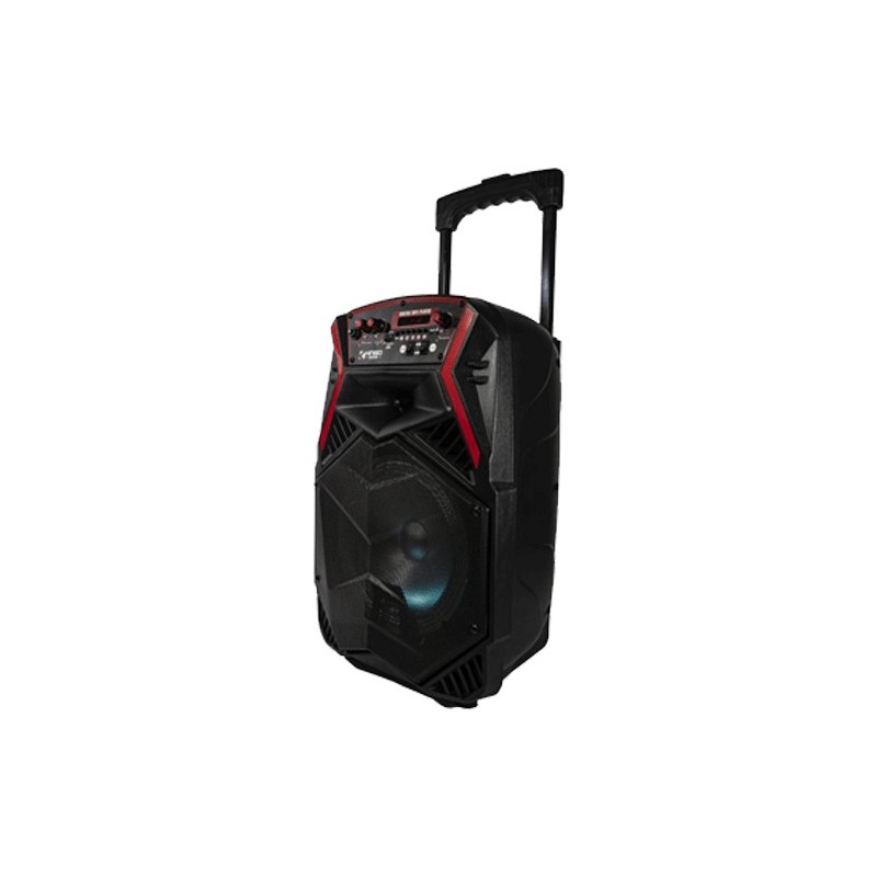 Cassa portatile radio fm usb sd mp3 bluetooth smartphone speaker