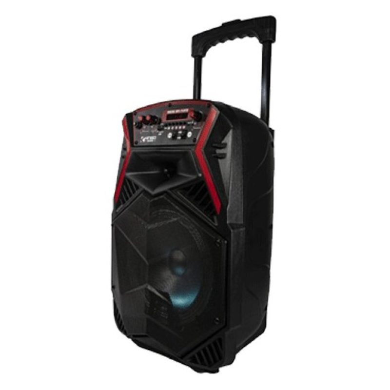 Hongu Cassa portatile radio fm usb sd mp3 bluetooth smartphone spea...