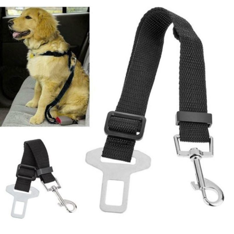 Hongu 2x cintura di sicurezza cani cane guinzaglio regolabile auto ...