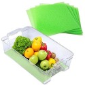 Tappetino per frigorifero frigo salvafreschezza 47x30cm antiodore salvafragranza