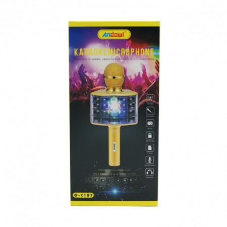 Microfono con cassa altoparlante senza fili Bluetooth con eco karaoke USB TF FM