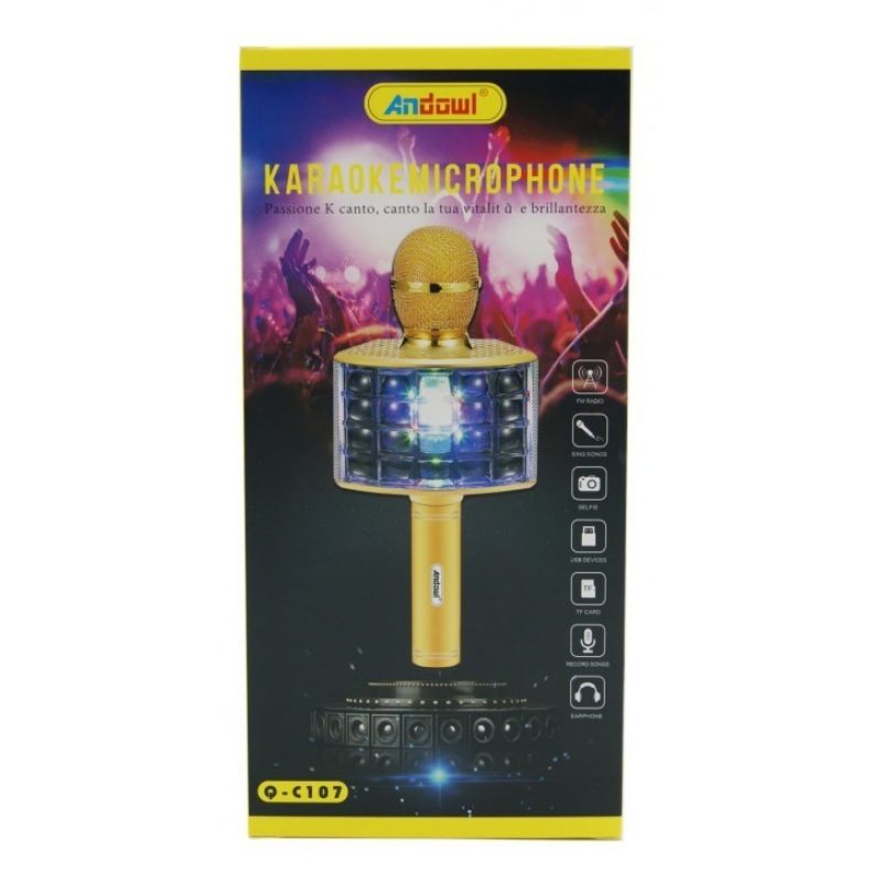 Hongu Microfono con cassa altoparlante senza fili Bluetooth con eco...