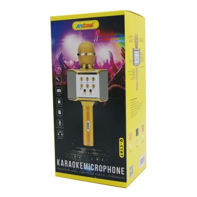 Hongu Microfono con cassa altoparlante senza fili Bluetooth con eco...