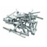 Hongu 200 Rivetti a strappo in Alluminio Fiore Ferramenta Cantiere ...