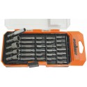Kit cacciavite con punte 30 pezzi Giraviti Inserti Elettricisti set Riparazioni