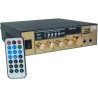 Hongu Amplificatore stereo 2 canali Bluetooth Karaoke Mp3 USB SD Ca...
