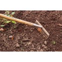Rastrello Metallo verniciato Pettine Giardino 12 denti Raccogli Foglie Pulizia