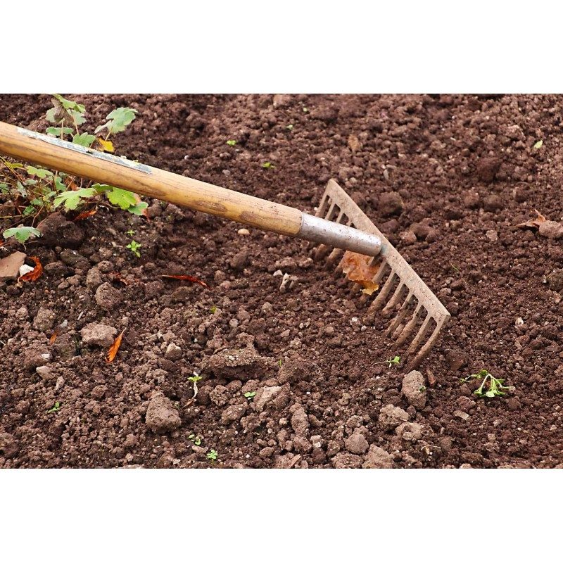 Hongu Rastrello Metallo verniciato Pettine Giardino 12 denti Raccog...