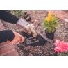 Iron Scopetta Rastrello Pettine Giardino 9 denti Raccogli con Manic...