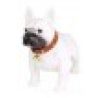 Hongu Cassa Bluetooth Speaker Bulldog Cane Altoparlante USB Wireles...