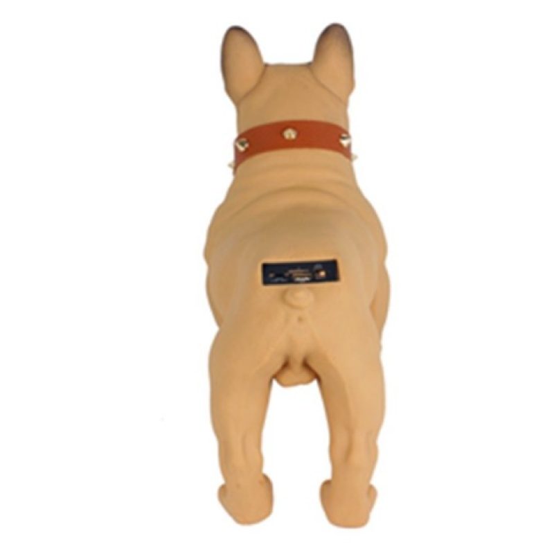 Hongu Cassa Bluetooth Speaker Bulldog Cane Altoparlante USB Wireles...