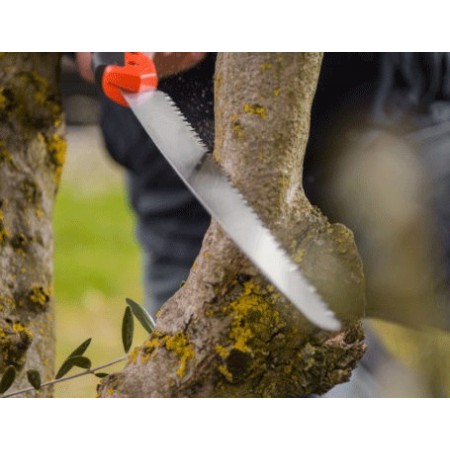 Seghetto sega manuale Taglio 370mm Legno Potatura a mano Segaccio giardino pota