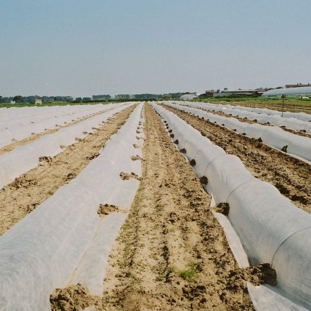 Telo Termoclima 17gr TNT antigelo piante fiori orto terreno giardino copripiante