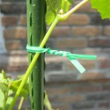 6 Bobina Filo da giardinaggio Plastificato Piante legature MT 20 Giardino ferro