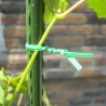 Hongu 6 Bobina Filo da giardinaggio Plastificato Piante legature MT...