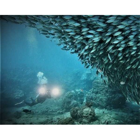 Torcia led subacquea 25000 lumen manico 100 m immersioni escursioni diving Sub