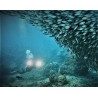 Hongu Torcia led subacquea 25000 lumen manico 100 m immersioni escu...