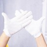 Hongu 24 PAIA GUANTI COTONE BIANCHI CAMERIERI BIOLOGICA LAVORO DIAM...
