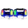 Pattini rotelle luminosi LED regolabili estensibili rollerblade roller 2 ruote