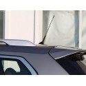 ANTENNA FM/AM SPORTIVA AUTO TUNING UNIVERSALE AUTORADIO NERA SPIRALE RADIO