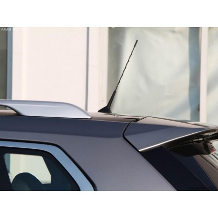 ANTENNA FM/AM SPORTIVA AUTO TUNING UNIVERSALE AUTORADIO NERA SPIRALE RADIO