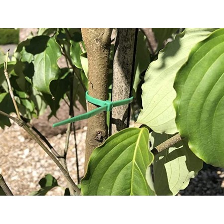 Fino 350 Fascette verdi plastica giganti varie misure cablaggio varie misure per rete