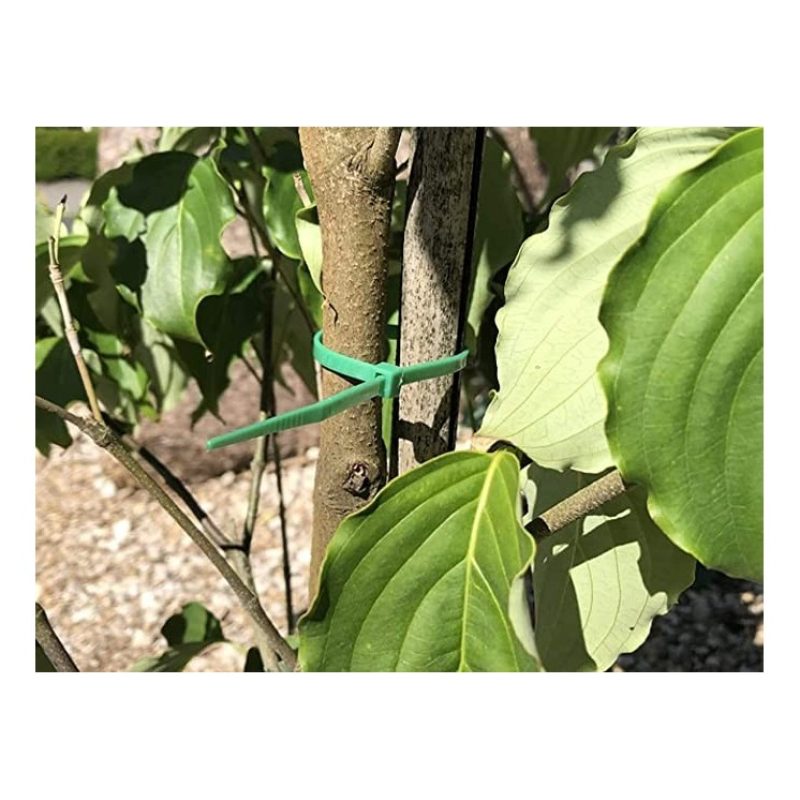 Hongu Fino 350 Fascette verdi plastica giganti varie misure cablagg...