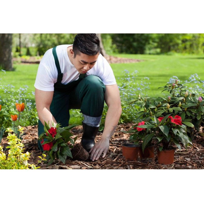 Hongu Pala corta Da Giardino Manico In Legno attrezzi orto giardina...