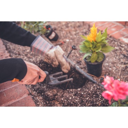Rastrello zappetta corta Giardino Manico In Legno attrezzi orto giardinaggio