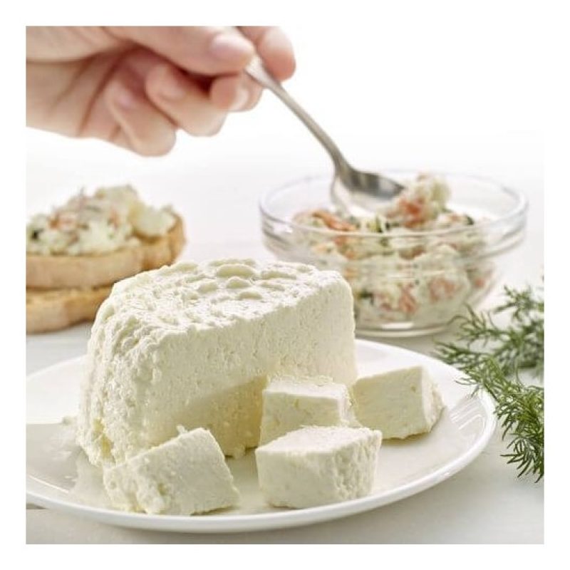 Hongu CHEESE MAKER FARE PREPARARE FORMAGGIO FRESCO CASA CUCINA MICR...
