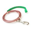 2x Guinzaglio di sicurezza cane cani piccola taglia resistente rosa passeggio