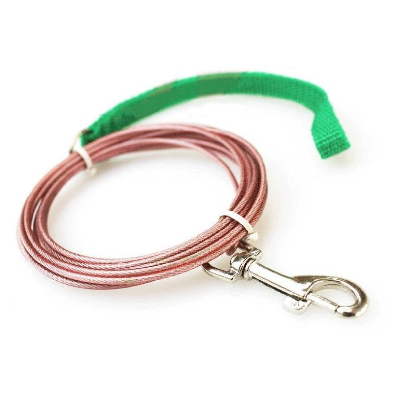 Hongu 2x Guinzaglio di sicurezza cane cani piccola taglia resistent...