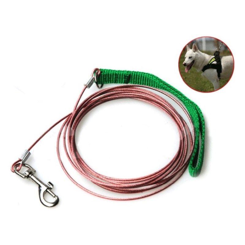 Hongu 2x Guinzaglio di sicurezza cane cani piccola taglia resistent...