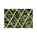 Traliccio estensibile Bamboo per piante rampicanti parete balcone terrazzo bambù