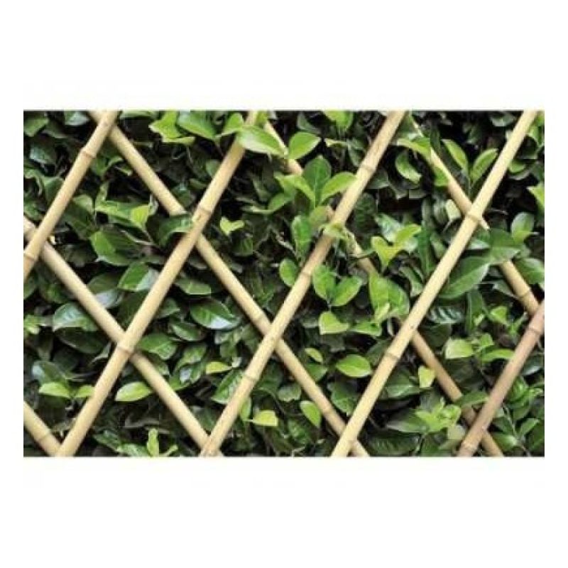 Hongu Traliccio estensibile Bamboo per piante rampicanti parete bal...