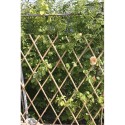 Traliccio estensibile Bamboo per piante rampicanti parete balcone terrazzo bambù