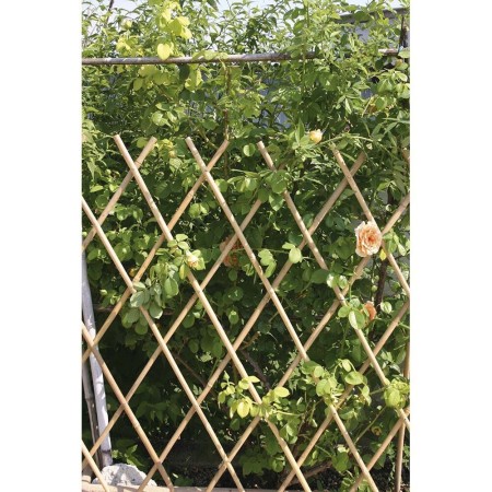 Traliccio estensibile Bamboo per piante rampicanti parete balcone terrazzo bambù