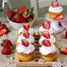 WeHome Stampo Teglia Vassoio Antiaderente 6 Muffin Cupcake Dolci Bu...