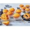 WeHome STAMPO TEGLIA MINI CUPCAKE MINI MUFFIN FORNO DECORA 24 CAVIT...