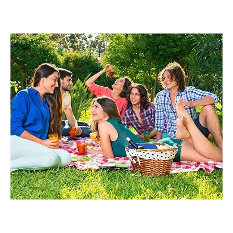 4xTovaglia USA GETTA Monouso plastificata antimacchia feste e party...