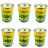Hongu 6x CANDELA ALLA CITRONELLA PROFUMATE IN CERA ANTIZANZARE ESTE...
